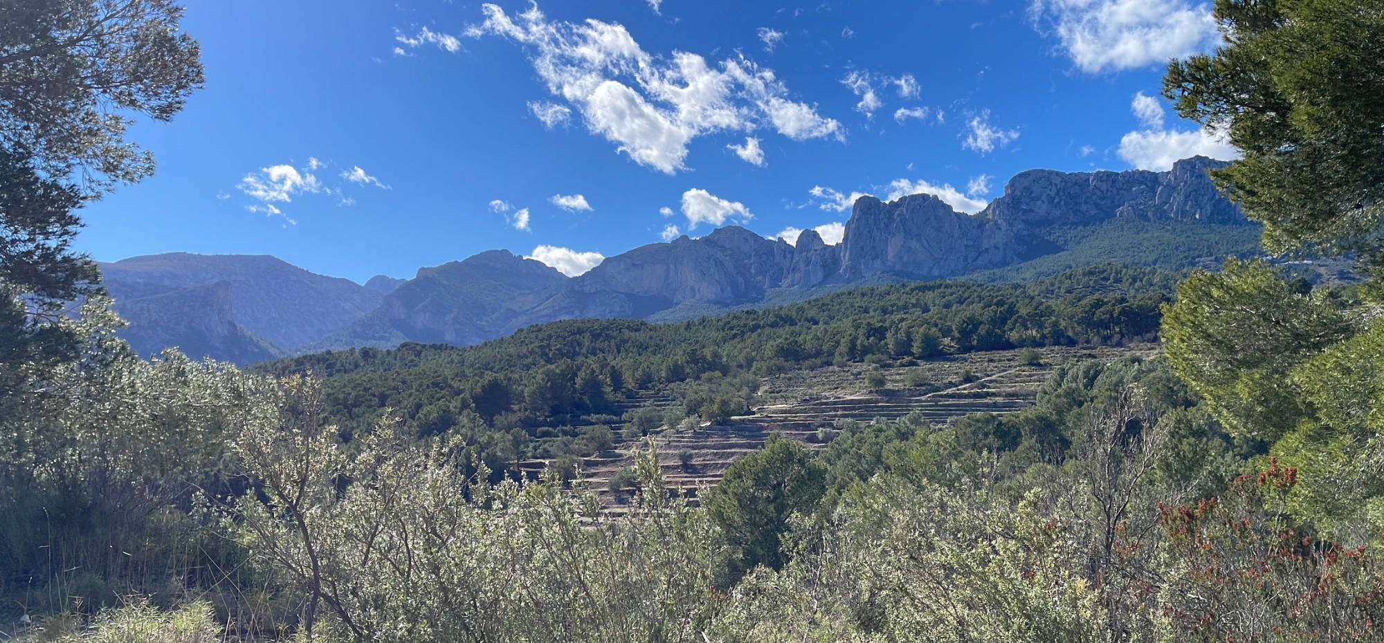 Mountain landscape